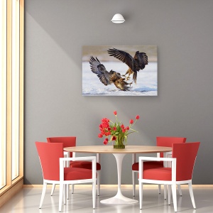 Tablou canvas - Duel, Natura, Pasare, Salbatic, Lupta, 40 x 60 cm - Img 4