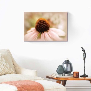 Tablou Canvas - Echinacea, 80 x 120 cm - Img 2