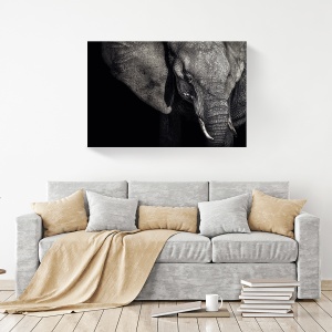 Tablou decorativ modern living cu elefant alb-negru pe canvas
