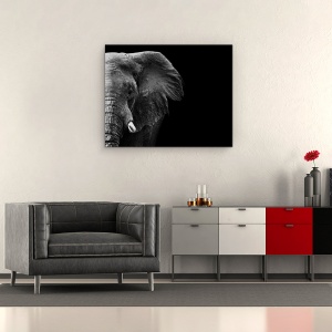 Tablou canvas - Elefant, Animale, Africa, Alb-Negru, Intuneric, 60 x 75 cm - Img 2