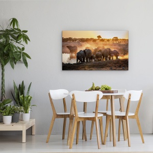 Tablou canvas - Elefant Ghemuit, Etosha, National, Parc, Animale, 50 x 80 cm - Img 4