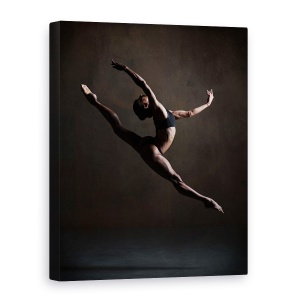 Tablou canvas - Eleganta In Intuneric, Lumina, Umbra, Sari, Salt, Zbor, 50 x 70 cm