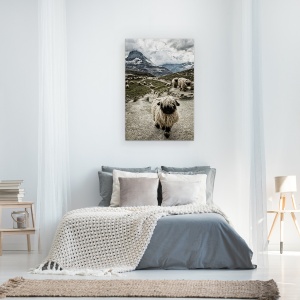 Tablou canvas - Eliberati-Mi Drumul, Oi, Valais, Blacknose, Matterhorn, Riffelsee, 60 x 90 cm - Img 3