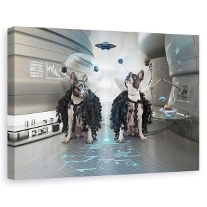 Tablou canvas - Et Caini, Astronaut, Spatiu, Nava Spatiala, Vapor, Animal, 80 x 120 cm