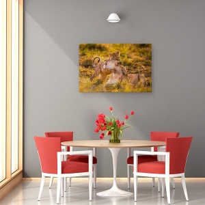 Tablou canvas - Farmecul, Leoaica, Leu, Natura, Salbatic, Kenya, 60 x 90 cm - Img 4