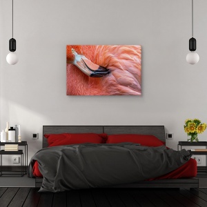 Tablou canvas - Flamingo , Nature, Pasare, Roz, Pene, 80 x 120 cm - Img 3