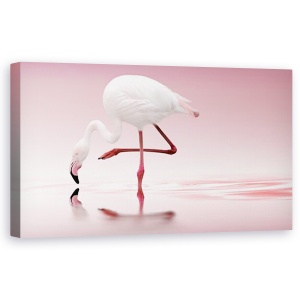 Tablou Canvas - Flamingo, Pasare, Roz, Apa, Oglinda, Romantism, 50 x 100 cm