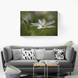 tablou decorativ modern living canvas cu floare alba 80x120 cm