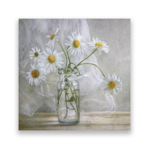 Tablou Canvas - Floral, Flori, Musetel, Vaza, Alb, 60 x 60 cm