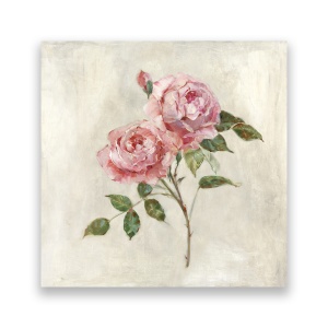 Tablou Canvas - Floral, Flori, Trandafir, Pictura, Roz, 60 x 60 cm
