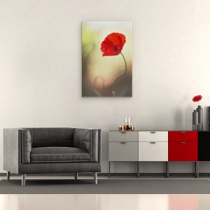 Tablou canvas - Flori de Maci, Rosu, Idila, Moale, Iubire, Patima, 80 x 120 cm - Img 2