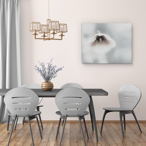 Tablou canvas - Frumusete Efemera, Floare, Maci, Alb, Fragil, Flora, 60 x 75 cm - Img 4