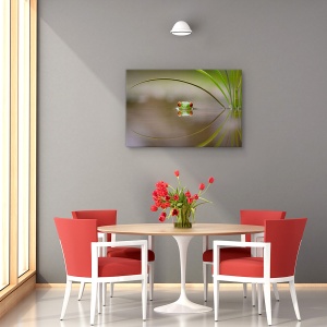 Tablou canvas - Frumusetea reflectiei, Nature, Broasca, Dragut, Curiozitate, 80 x 120 cm - Img 4