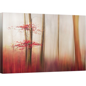 Tablou canvas - Frunze Rosii, Toamna, Infrangere, Rosu, Frunze, Danemarca, Padure, 50 x 80 cm