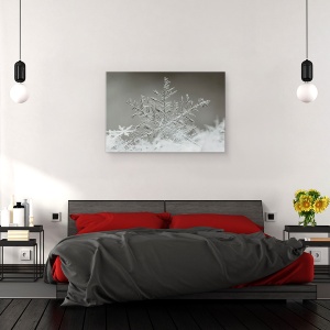 Tablou canvas - Fulg De Nea, Gheata, Inghet, 80 x 120 cm - Img 3