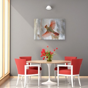 Tablou canvas - Furtuna De Zapada, Natura, Animal, Zbor, Salbatic, 60 x 90 cm - Img 4
