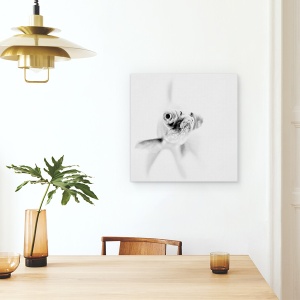 Tablou canvas - Gata Pentru Apropiere, Peste, Luminos, Alb, Alb-Negru, Pet, 60 x 60 cm - Img 4