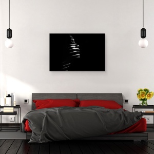 Tablou canvas - Gendis, Zebra, Lumina, Jaluzele, Dungi, Linii, 60 x 90 cm - Img 3