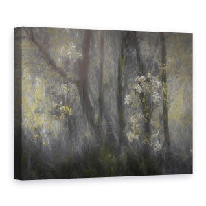 Tablou canvas - Hasmatuchi (Planta), Primavara, Floare, Padure, 75 x 100 cm