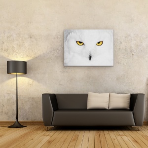 Tablou canvas - Hipnoza, Natura, Salbatic, Animale, Pasari, Pene, 50 x 70 cm - Img 2