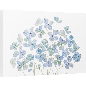Tablou canvas - Hortensie, Albastru, Vara, Floare, 40 x 60 cm