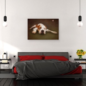 Tablou canvas - Iluzie, Caini, Caine, Portret, Animale, Studio, 80 x 120 cm - Img 2