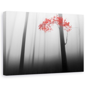 Tablou canvas - Iluzie, Ceata, Copaci, Padure, Stare De Spirit, Rosu, 60 x 90 cm
