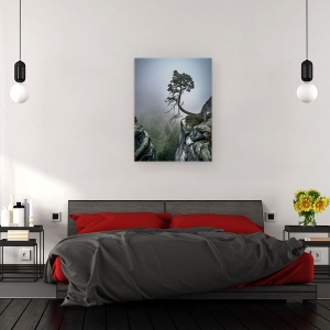 Tablou canvas - In Ciuda Greutatilor, Peisaj, Copac, Bonsai, Munte, Panta, 60 x 80 cm - Img 4