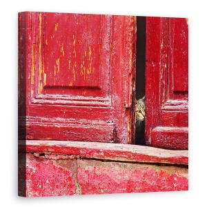 Tablou canvas - In Spatele Scenei, Vintage, Animal, Pisica, Retro, Vechi, 60 x 60 cm