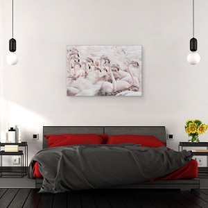 Tablou canvas - In Transhumanta Roz, Flamingo, Franta, Roz, Miscare, 60 x 90 cm - Img 4