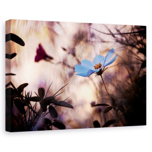 Tablou canvas - Indiferenta, Flori, Gradina, 60 x 90 cm