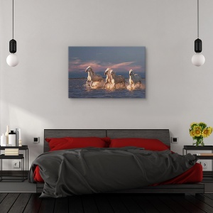Tablou canvas - Ingerii din Camargue, Animal, Cal, Forta, Apus De Soare, 60 x 90 cm - Img 3