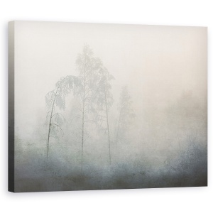 Tablou canvas - Inghet, Iarna, Inghet, Copaci, Ghemui, Ceata, 60 x 75 cm