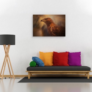 Tablou canvas - Instinct, Pasare, Animal, Vultur, Animale, 40 x 60 cm - Img 2