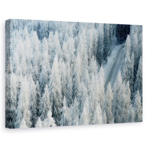 Tablou canvas - Intalnire, Peisaj, Copac, Pin, Brad, Inghet, 60 x 90 cm
