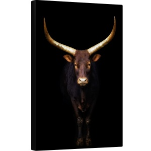 Tablou canvas - Intim, Watusi, Animal, Corn, 60 x 90 cm