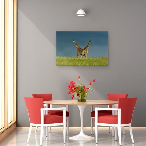 Tablou canvas - Intre Cele Doua, Girafa, Pozeaza, Gat, Safari, Salbatic, 80 x 120 cm - Img 4