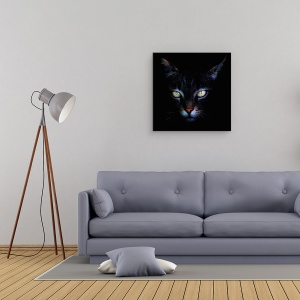 Tablou canvas - Intuneric, Pisica, Intuneric, Punct, Ochi, 60 x 60 cm - Img 2