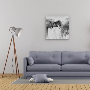 Tablou canvas - Itrunk, Elefanti, Distractie, Amuzant, Umor, 90 x 90 cm - Img 2