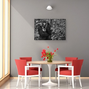 Tablou canvas - Kwitonda Silverback, Gorila, Rwanda, Virunga, Africa, Gorila, 40 x 60 cm - Img 4