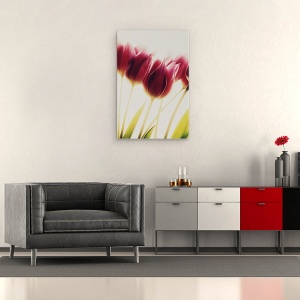 Tablou canvas - Lalele, Floare, 40 x 60 cm - Img 2