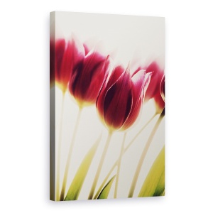 Tablou canvas - Lalele, Floare, 60 x 90 cm