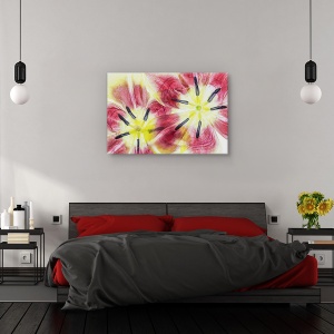 Tablou canvas - Lalele, Natura moarta, Petale, Flori, Rosu, 80 x 120 cm - Img 3