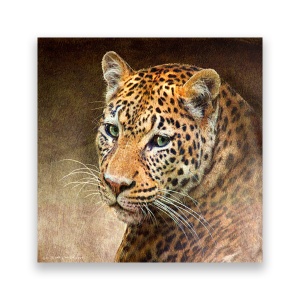 Tablou Canvas - Leopard, Animale, 60 x 60 cm