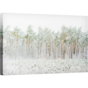 Tablou canvas - Lumea Zapezii, Peisaj, Zapada, Pomi, Panorama, Verde, 50 x 80 cm