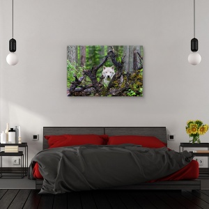 Tablou canvas - Lup, Nature, Copac, Padure, Ochi, 60 x 90 cm - Img 3