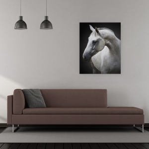 Tablou canvas - Maggie, Cal, Cai, Simplu, Animal, Animale, 60 x 75 cm - Img 2