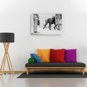 Tablou canvas - Marele Bodyguard Danez , Caine, Bodyguard, Intalnire, Protectie, Grozav, 40 x 60 cm - Img 2