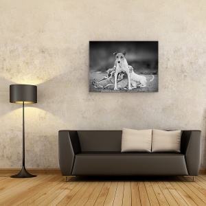 Tablou canvas - Maternitate, Caine, Mama, 60 x 80 cm - Img 2