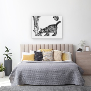 Tablou canvas - Miroase-Ma, Pisica, Caine, Intalni, Prietenos, 60 x 80 cm - Img 3